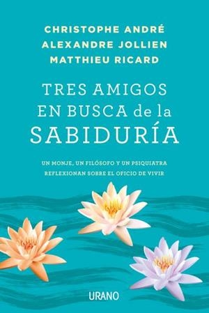 TRES AMIGOS EN BUSCA DE LA SABIDURÍA | 9788479539481 | RICARD, MATTHIEU / ANDRÉ, CHRISTOPHE / JOLLIEN, ALEXANDRE