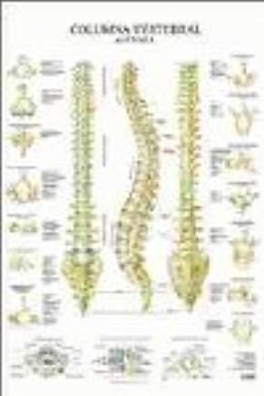 LÁMINAS COLUMNA VERTEBRAL | 9788492716920 | JIMÉNEZ HERNÁNDEZ, MIGUEL