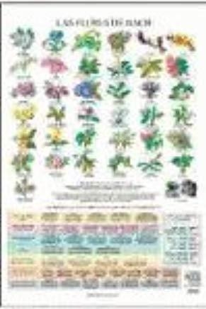 LÁMINAS FLORES DE BACH | 9788415612100 | JIMÉNEZ HERNÁNDEZ, MIGUEL