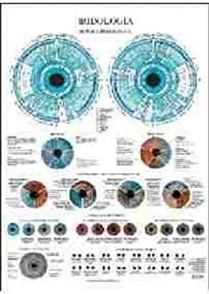 LÁMINAS IRIDOLOGÍA | 9788415612070 | JIMÉNEZ HERNÁNDEZ, MIGUEL