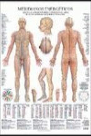 LÁMINAS MERIDIANOS ENREGÉTICOS | 9788415612087 | JIMÉNEZ HERNÁNDEZ, MIGUEL