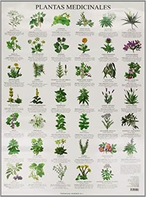 LÁMINAS PLANTAS MEDICINALES | 9788415612117 | JIMÉNEZ HERNÁNDEZ, MIGUEL