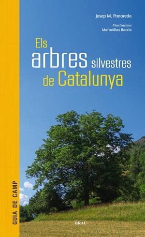ARBRES SILVESTRES DE CATALUNYA, ELS | 9788415885856 | PANAREDA CLOPÉS, JOSEP M.