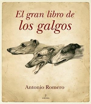 GRAN LIBRO DE LOS GALGOS | 9788492924080 | ROMERO, ANTONIO