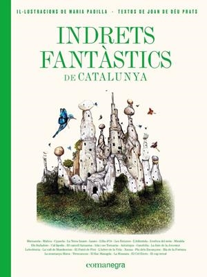 INDRETS FANTÀSTICS DE CATALUNYA | 9788417188986 | PADILLA, MARIA