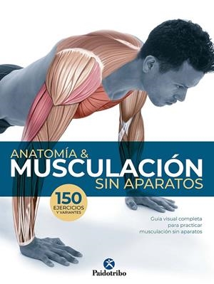 ANATOMÍA Y MUSCULACIÓN SIN APARATOS | 9788499107295 | SEIJAS, GUILLERMO