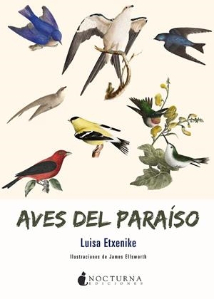 AVES DEL PARAISO | 9788417834210 | ETXENIKE, LUISA