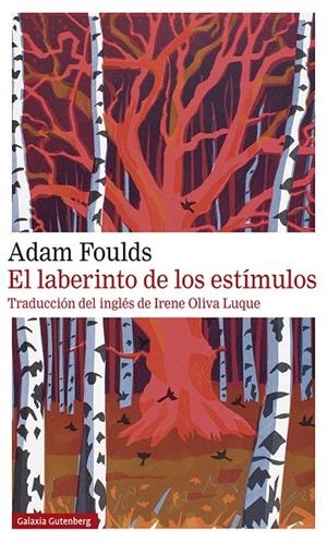 LABERINTO DE LOS ESTÍMULOS, EL | 9788417747305 | FOULDS, ADAM