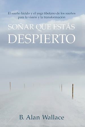 SOÑAR QUE ESTÁS DESPIERTO | 9788412088403 | WALLACE, B. ALAN