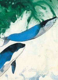 LIBRETA BALLENAS DE LA CREACION | 9788494402500 | CARINI CAPALBO, MIGUEL