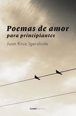 POEMAS DE AMOR PARA PRINCIPIANTES | 9788416791057 | IGERABIDE, JUAN KRUZ