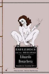 ESPLENDOR EN EL MELONAR | 9788493757809 | BONACHERA, EDUARDO