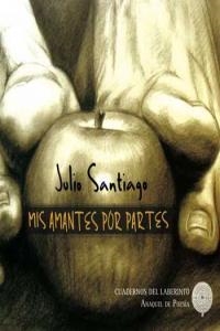 MIS AMANTES POR PARTES | 9788461446292 | SANTIAGO, JULIO