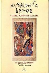 ANTOLOGII BREVE (CESAREO RODRIGUEZ AGUILERA) | 9788488944375 | RODRIGUEZ AGUILERA, CESAREO