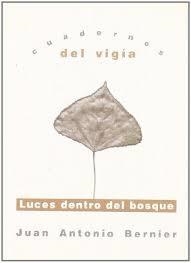 LUCES DENTRO DEL BOSQUE | 9788495430052 | BERNIER, JUAN ANTONIO