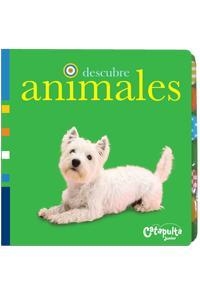 DESCUBRE ANIMALES | 9789876370806 | SIRETT, DAWN