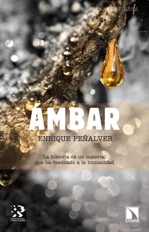 AMBAR | 9788483197349 | PEÑALVER, ENRIQUE