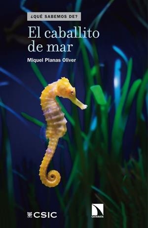 CABALLITO DE MAR, EL | 9788483199206 | PLANAS OLIVER, MIQUEL