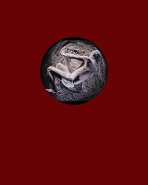 VOID, THE | 9788417866075 | SCHOLZ, WOLFGANG H.