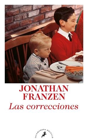 CORRECCIONES, LAS | 9788498385786 | FRANZEN, JONATHAN