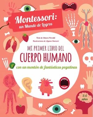 MI PRIMER LIBRO DEL CUERPO HUMANO | 9788468250595 | PIRODDI, CHIARA