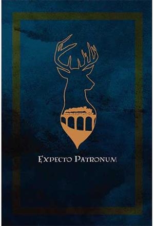 BLOC DE NOTAS HARRY POTTER SPELLS | 9788417936600 | GUNIS MEDIA