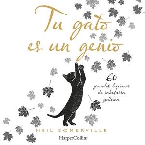 TU GATO ES UN GENIO : 60 GRANDES LECCIONES DE SABIDURÍA GATUNA | 9788491394211 | SOMERVILLE, NEIL
