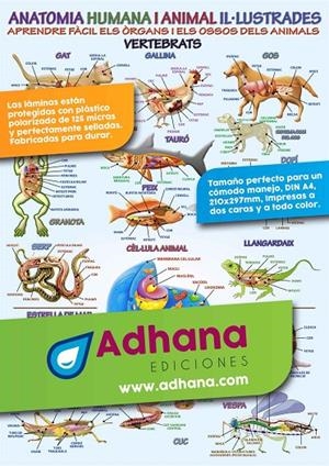 LAMINA DIDÁCTICA ANATOMIA HUMANA I ANIMAL IL·LUSTRADA | 8436005169770
