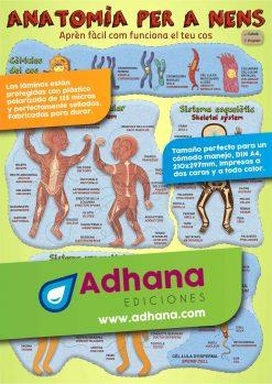 LAMINA DIDÁCTICA ANATOMIA PER A NENS | 8436005170950