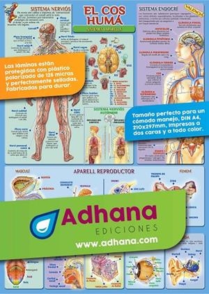 LAMINA DIDÁCTICA EL COS HUMÀ - SISTEMES I APARELLS | 8436005162023