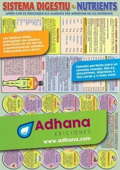 LAMINA DIDÁCTICA SISTEMA DIGESTIU- NUTRIENTS | 8436005162153