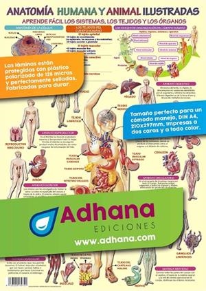 LÁMINA DIDÁCTICA ANATOMÍA HUMANA Y ANIMAL ILUSTRADA | 8436005169701