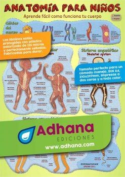 LÁMINA DIDÁCTICA ANATOMÍA PARA NIÑOS | 8436005170967