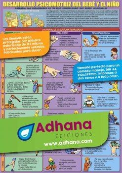 LÁMINA DIDÁCTICA DESARROLLO PSICOMOTRIZ DEL BEBÉ Y NIÑO | 8436005160470