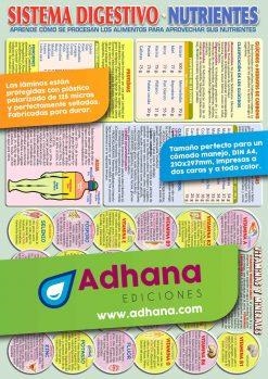 LÁMINA DIDÁCTICA SISTEMA DIGESTIVO. NUTRIENTES | 8436005160395