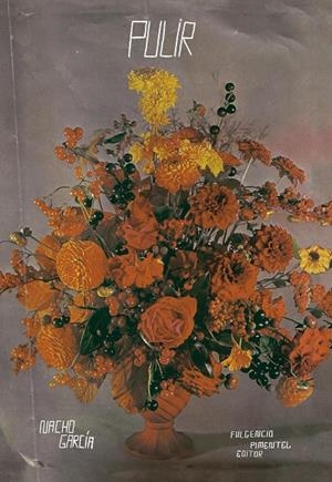 PULIR | 9788493977276 | GARCIA, NACHO