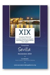 PONENCIAS XIX CONGRESO SEVILLA (NOVIEMBRE 2019), SOBRE ESPECIALIZACIÓN EN RESPONSABILIDAD CIVIL | 9788417788742 | ASOCIACIÓN ESPAÑOLA DE ABOGADOS ESPECIALIZADOS EN RESPONSABILIDAD CIVIL Y SEGURO