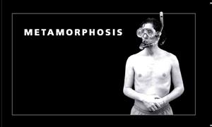METAMORPHOSIS | 9789508890948 | MELAZZINI, SANTIAGO
