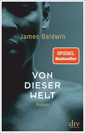 VON DIESER WELT | 9783423147255 | BALDWIN, JAMES