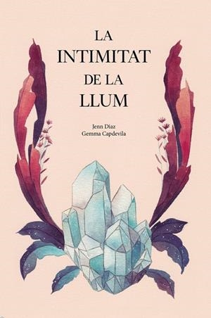INTIMITAT DE LA LLUM, LA | 9788494958021 | DÍAZ, JENN / CAPDEVILA, GEMMA