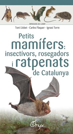 PETITS MAMÍFERS INSECTÍVORS, ROSEGADORS I RATPENATS DE CATALUNYA | 9788490348956 | LLOBET, TONI / FLAQUER, CARLES