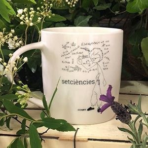 TASSA ELS XIMPLETS SETCIÈNCIES | 9999900003727