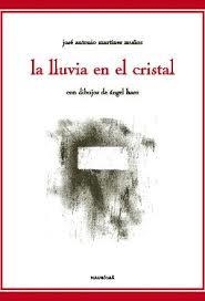LLUVIA EN EL CRISTAL, LA | 9788495450289 | MARTINEZ MUÑOZ, JOSE ANTONIO