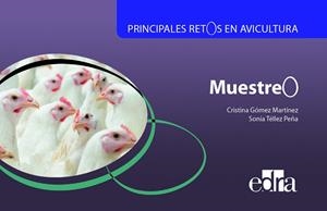 PRINCIPALES RETOS EN AVICULTURA. MUESTREO | 9788417640408 | GOMEZ MARTINEZ, CRISTINA / TELLEZ PEÑA, S.