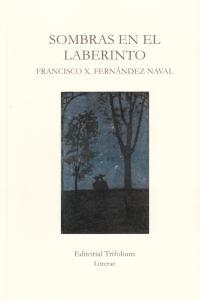 SOMBRAS EN EL LABERINTO | 9788494029714 | FERNANDEZ NAVAL, FRANCISCO X.