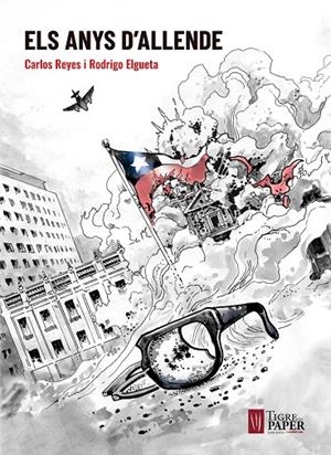 ANYS D'ALLENDE, ELS | 9788416855179 | REYES / ELGUETA