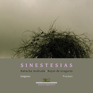 SINESTESIAS | 9788484728382 | ANDRADA / GREGORIO