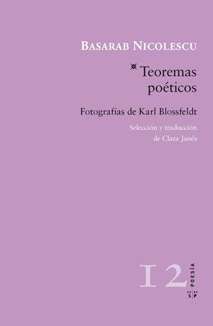 TEOREMAS POETICOS | 9788415065524 | NICOLESCU, BASARAB