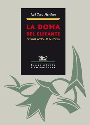 DOMA DEL ELEFANTE, LA | 9788484723592 | TONO MARTINEZ, JOSE