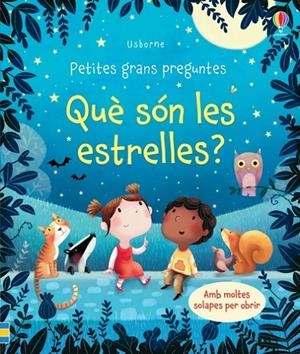 QUÈ SÓN LES ESTRELLES? | 9781474946841 | DAYNES, KATIE